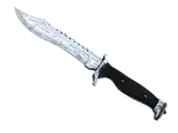 ★ Bowie Knife | Damascus Steel (Battle-Scarred)