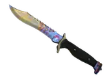 ★ Bowie Knife | Case Hardened (Battle-Scarred)