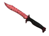 ★ Bowie Knife | Slaughter (Field-Tested)