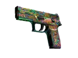 P250 | Visions (Battle-Scarred)