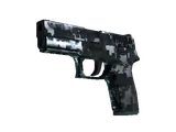 P250 | Steel Disruption (Minimal Wear)