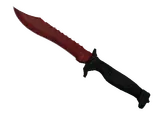 ★ Bowie Knife | Crimson Web (Well-Worn)