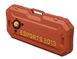 Кейс eSports 2013